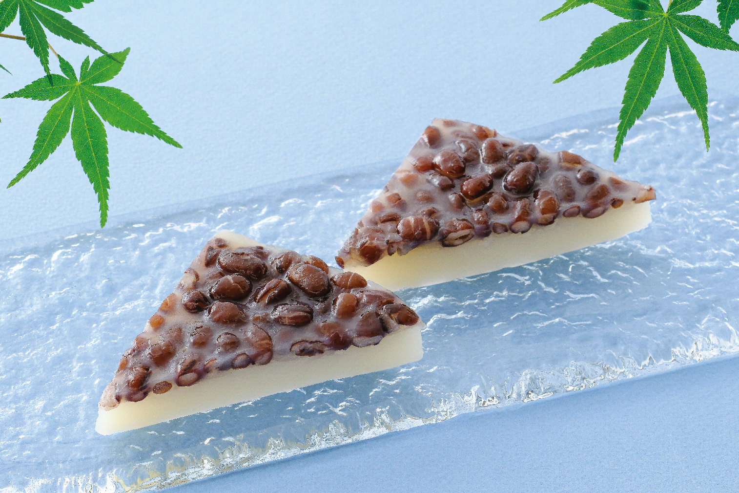2023年 和菓子まつり特集【新商品 水無月発売】 | 筑紫菓匠 如水